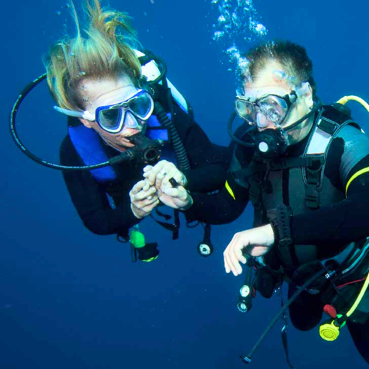 01d50788-b8ac-4aa6-8032-ba6f1cddb6a4