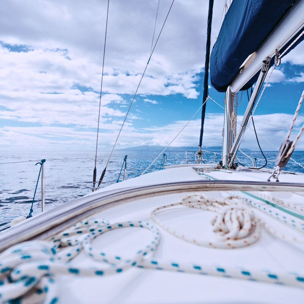 0fb0e078-eeac-4a9a-9b02-cbff5b1561f8