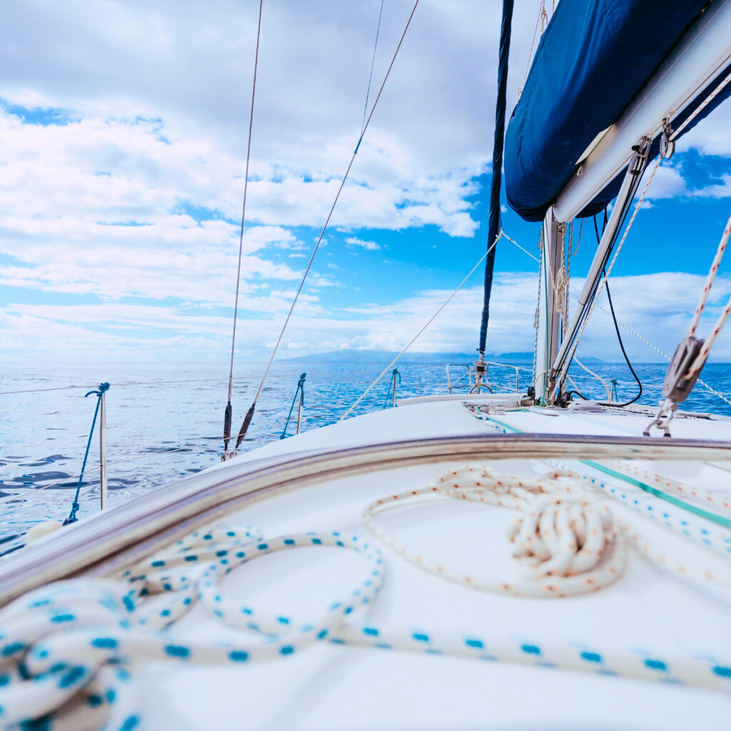 11161a9c-5fd8-42e2-b841-6d5ce14e1a39