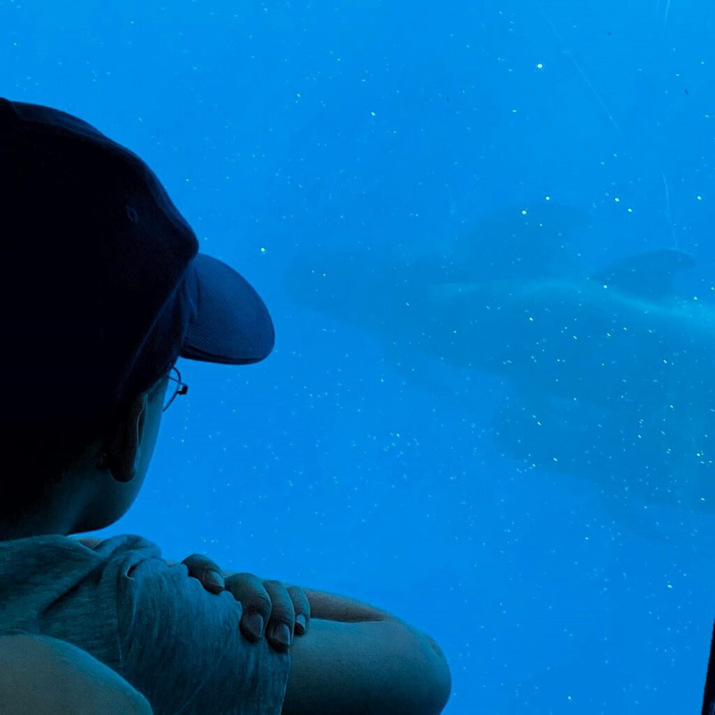 120201259_2612859325631898_392585813520744060_n