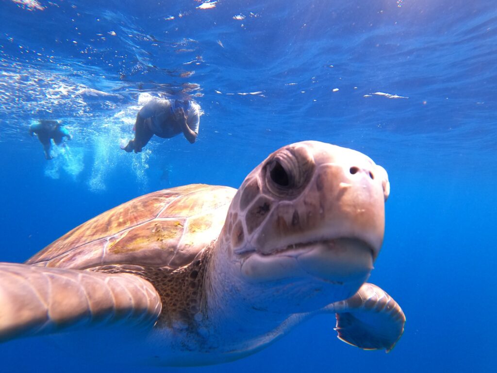 243960838_6611040818921195_5258859843527713877_n