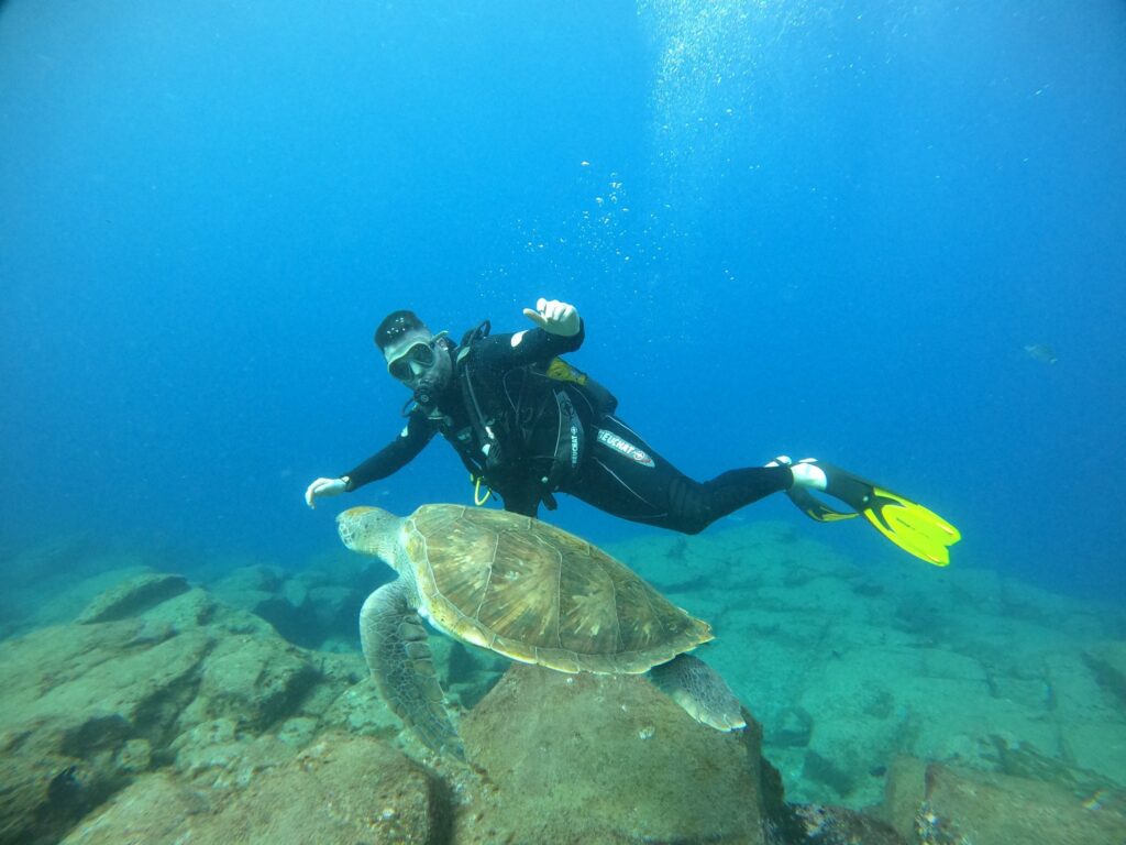 272059444_7247920355233235_1841673788750374247_n