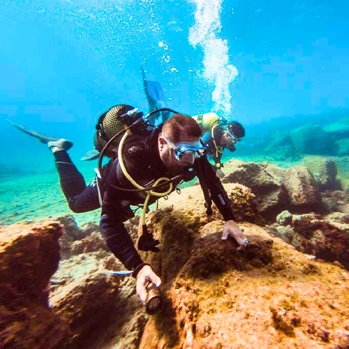 29d575f7-cad1-468b-86c9-bdb67dc9e052