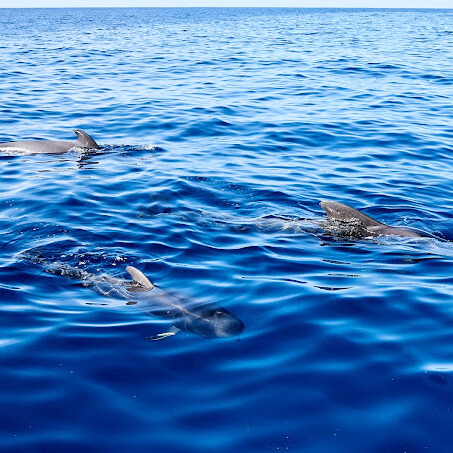 2b4cd66e-b11c-4825-80f9-ae722db7428f