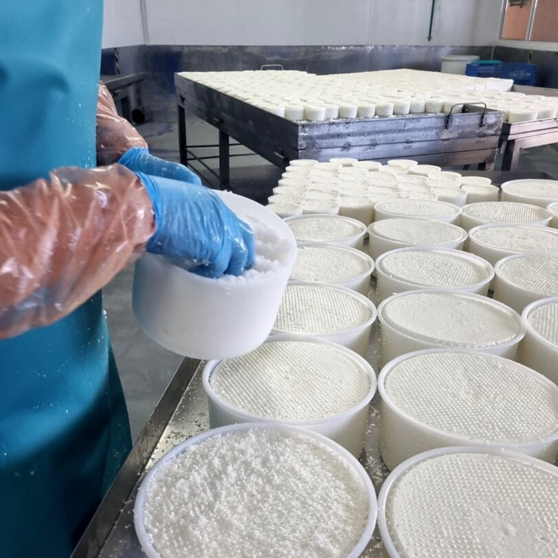 3eaa4e2a-90a2-426c-a99f-a0402a50f7b0