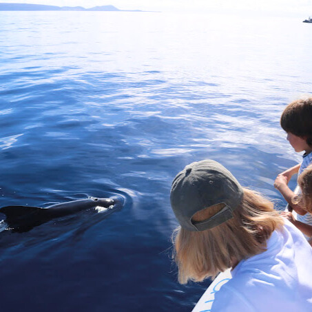 40b3e5b3-6d41-4e9c-91d6-0e0c4b5c0565