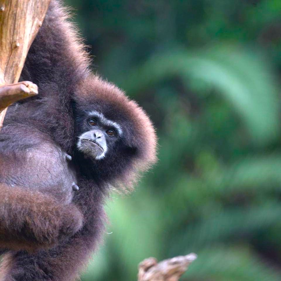 419995330_769345951900690_4234519201130600554_n (1)