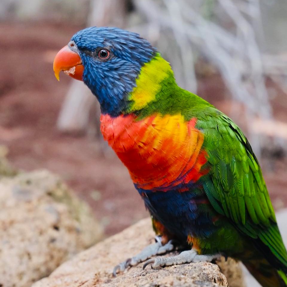 423161018_818272933674658_4461648631562046180_n