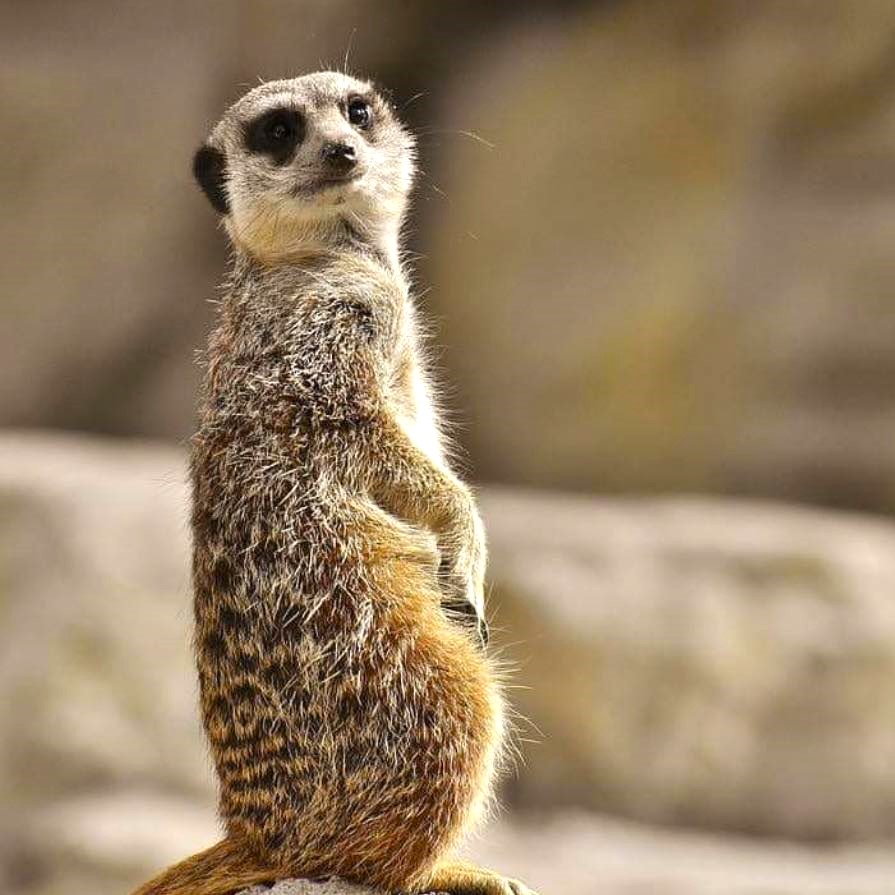 434472562_818263550342263_8103708200122712154_n (1)