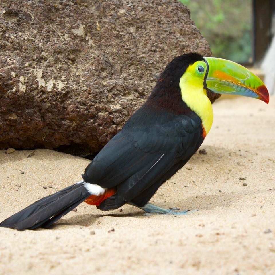 449998471_879131310922153_8071143240512078503_n (1)