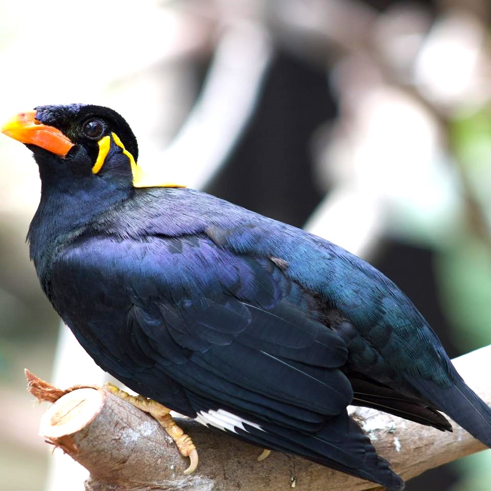 458286072_917597637075520_6404276089307577461_n (1)