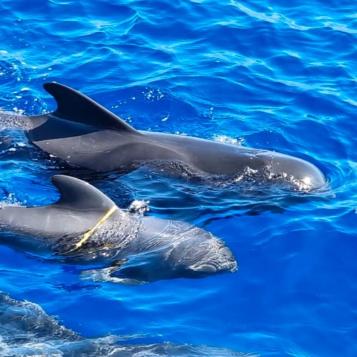 458504931_18351556030191268_6632281036738722342_n