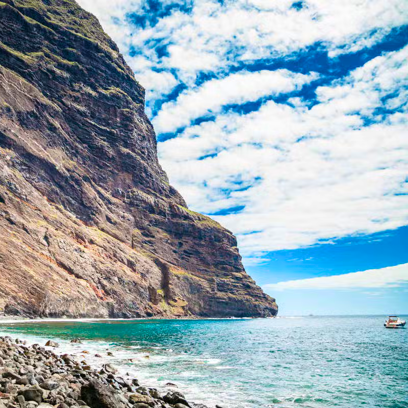 6c7f24b8-8204-4723-8e20-00a4ff00dfcf (2)