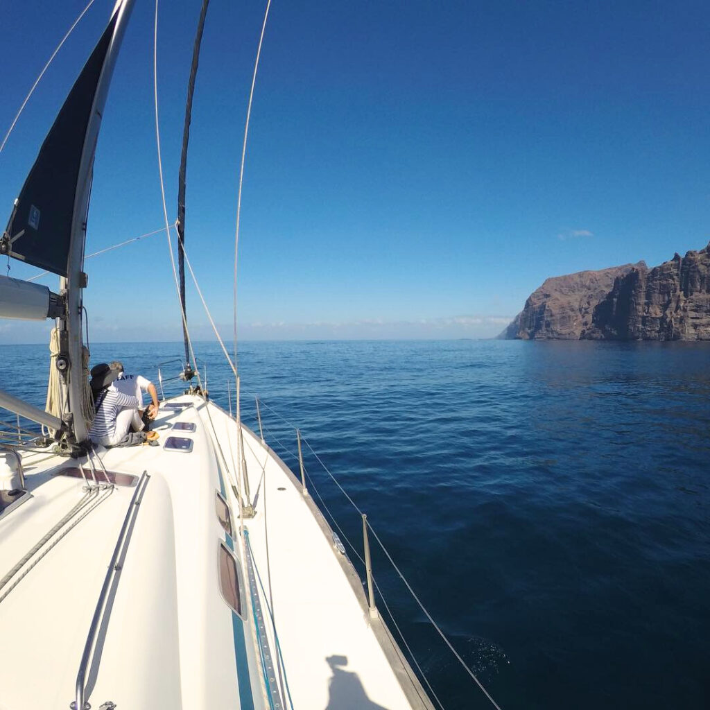 8875a2a5-4aa7-4b18-b0b7-bfbfd7a02c26