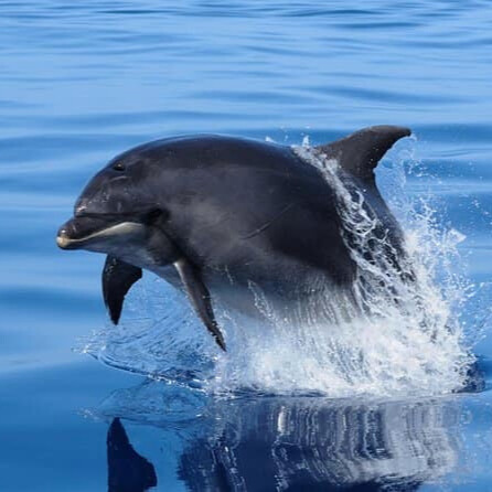 8e274754-d6ee-430e-887a-73bbb4c0eb05 (1)