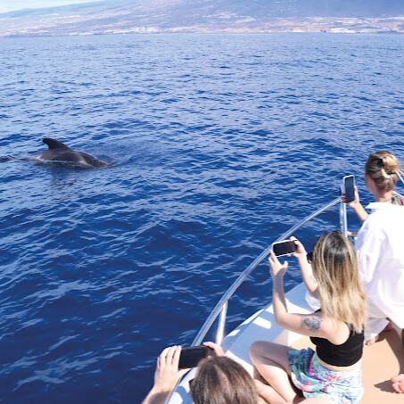 90064b1e-dcc6-48ab-986a-ef6dcfafccb8 (1)