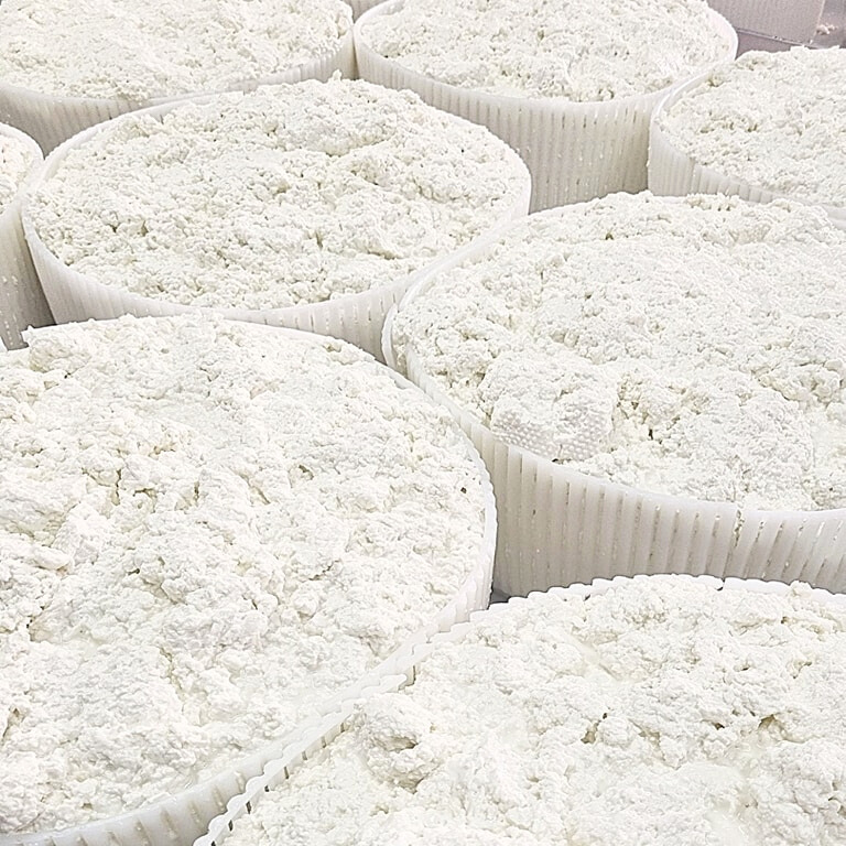 97774d2e-3ca5-4ebe-a2b2-7254e133e449