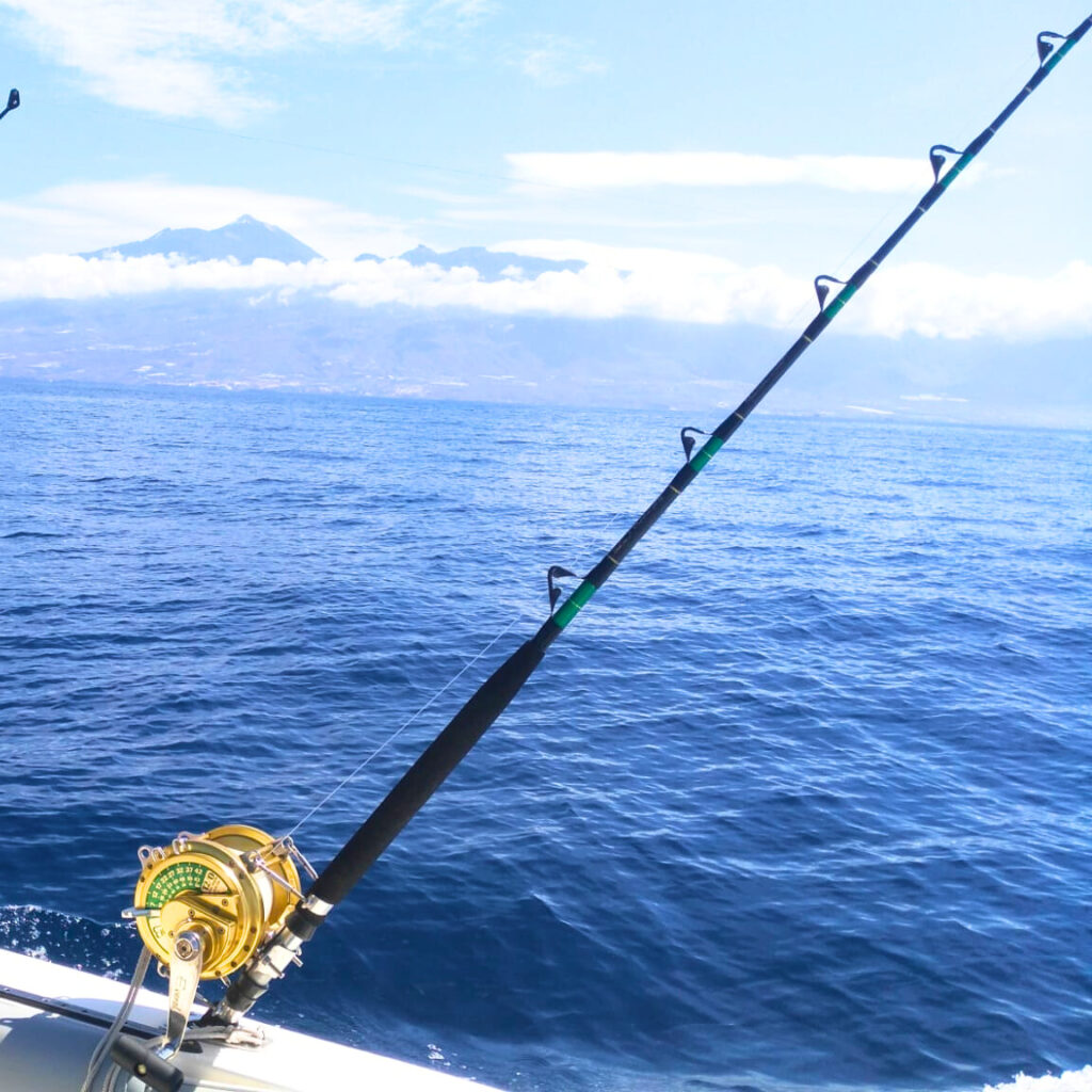 abfaad6c-de29-4379-b0dc-42f0e3da5b48 (1)