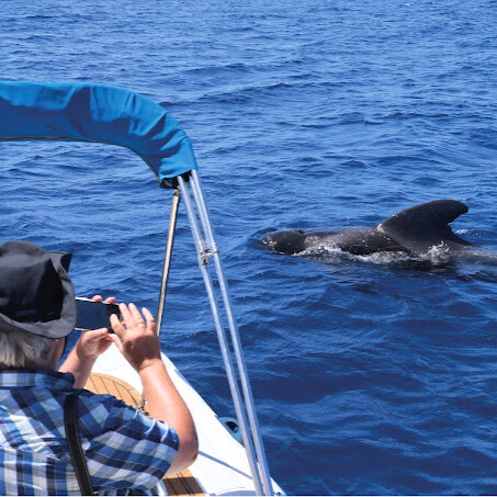 bb0c8755-7f65-4d1d-9366-f8eeb4d62187