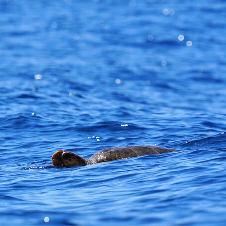 bd74bdb8-fa7f-4062-b15c-22c7b910644a (1)