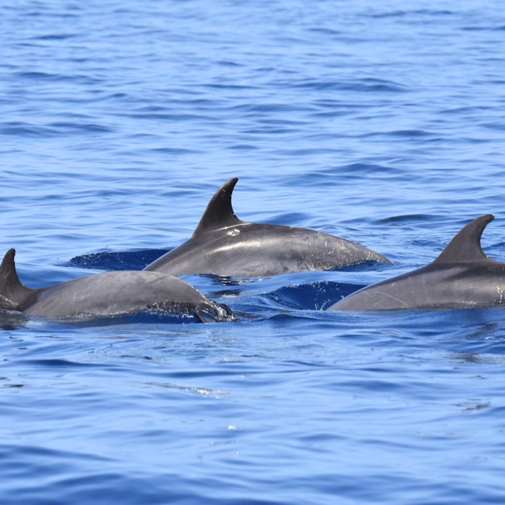 be547d00-be63-4692-a4df-d7b293d0f0ff