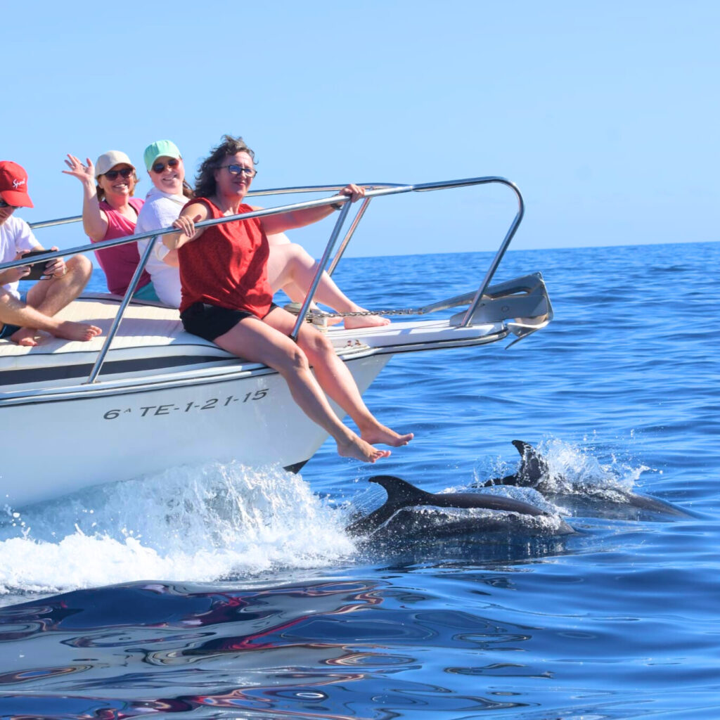 e6b4532e-d8df-4b68-942b-9319e9382ba7 (1)