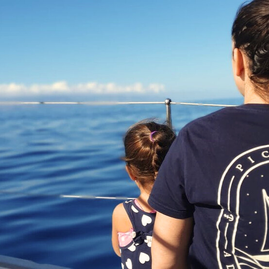 f096704c-26f1-48db-8686-0200a1d03ba5