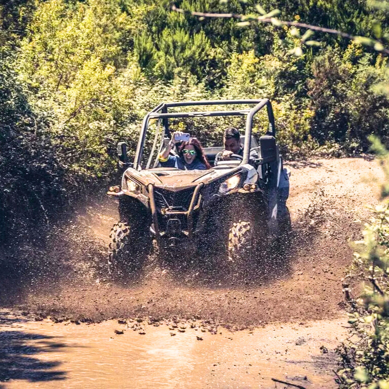 14cd3df8-c9c0-4bec-99ab-b829ce48f740