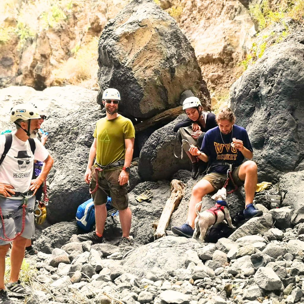 912821d4-0bb5-4f53-8d20-c48db7e6b414