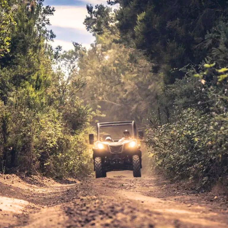 b7e93ff4-188f-4b5d-a8a8-4fe82d3d8025