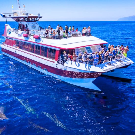 08afe0d5-9e7f-4d5d-b888-3bb33323c93f