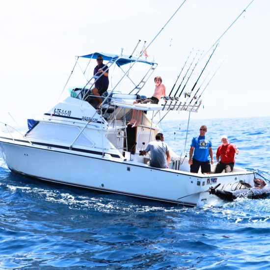 127236ca-6806-42e2-a0ed-448d5af373ee