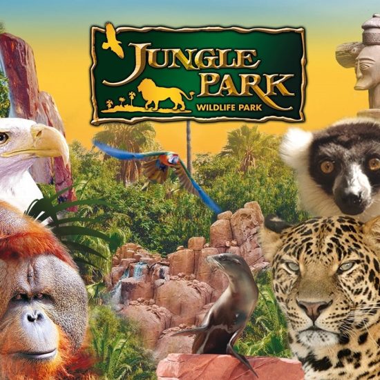 227564294_4281387065217590_1315279486028313559_n