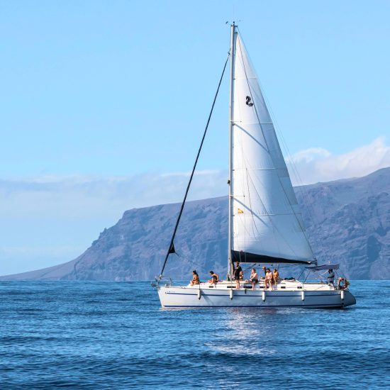 2df81b57-7869-4459-99e5-a73573bc3490