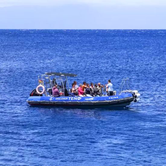 32e43301-7c1f-414a-bb76-89c3acdd3ea1