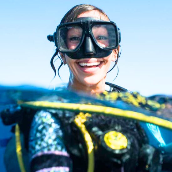 3b778c60-41d5-4a99-9858-7ba3c0d671e6