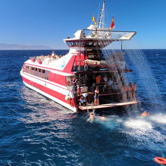 3f02d295-c613-4fa7-8982-c414be189f2b