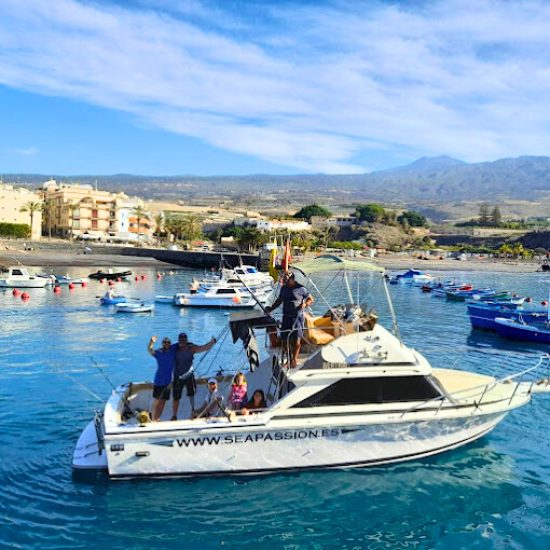 66ce9a37-1733-4a56-ae13-012902f28a7c