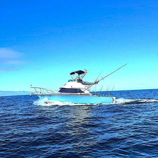 80823442_2723840764329630_2398541520291495936_n