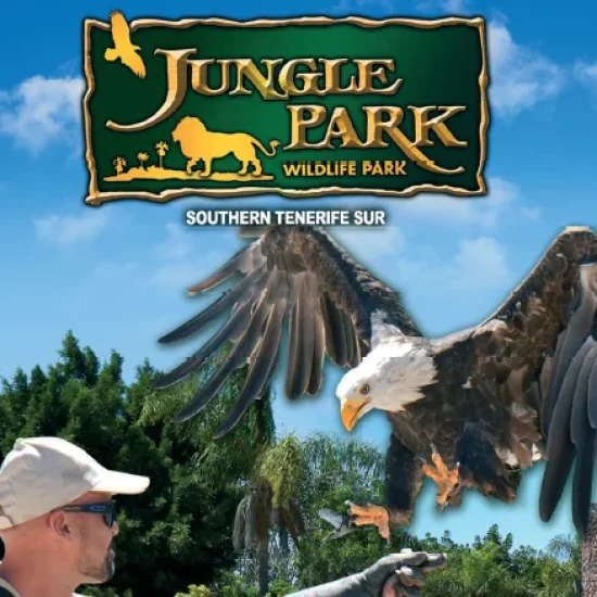 Captura-de-pantalla-2024-06-04-195424 (1)