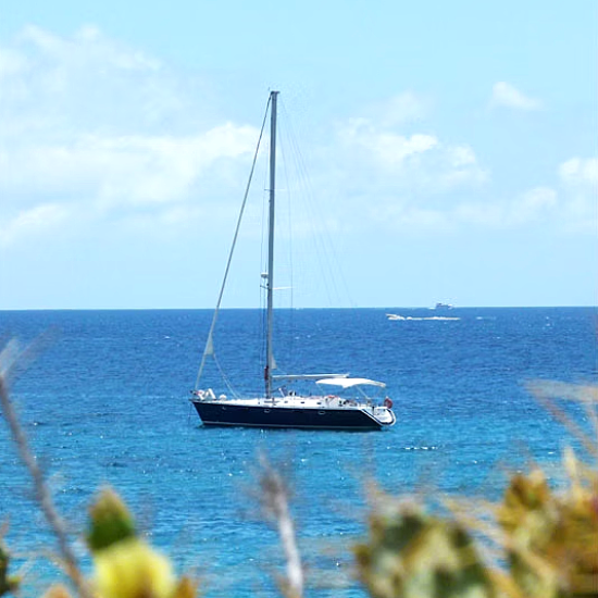 Captura de pantalla 2025-03-12 131613