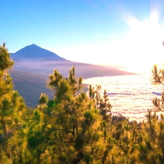Teide National Park 1