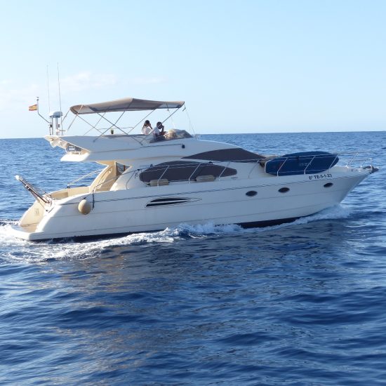 WhatsApp Image 2024-05-03 at 09.42.52 (4)