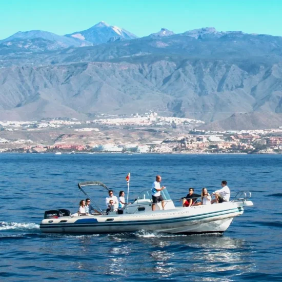 atlantic-eco-contacto-954x1024-1-1