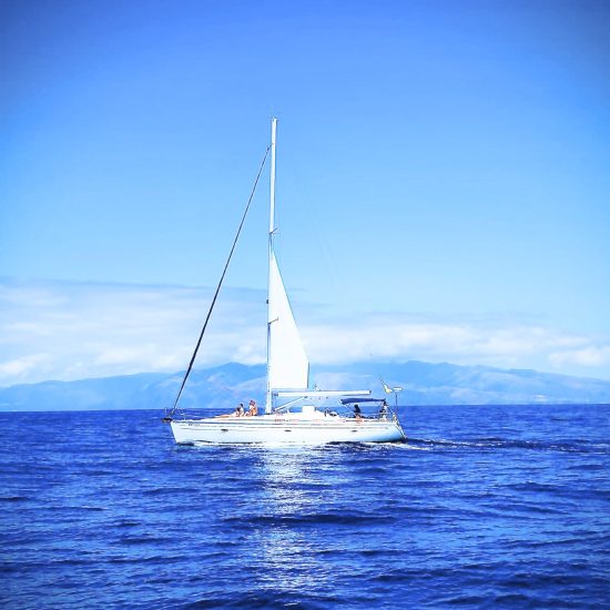 bc2adc99-b739-4d87-a691-2382f57113f5