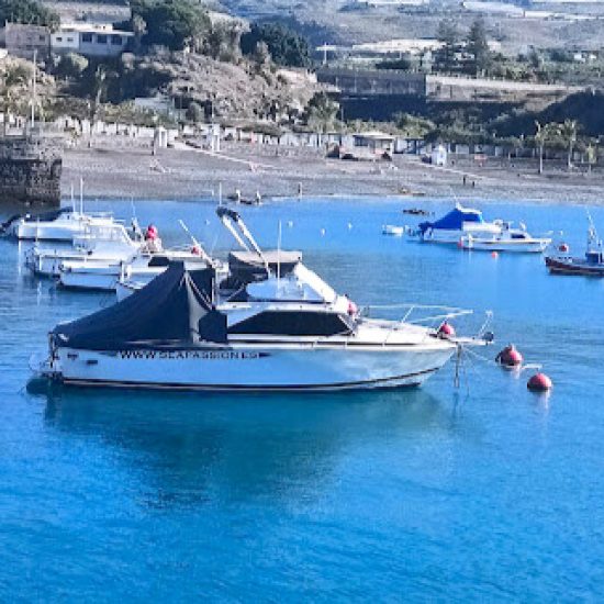 c78cb4b1-7868-4eb6-8da8-49c5b264a15e