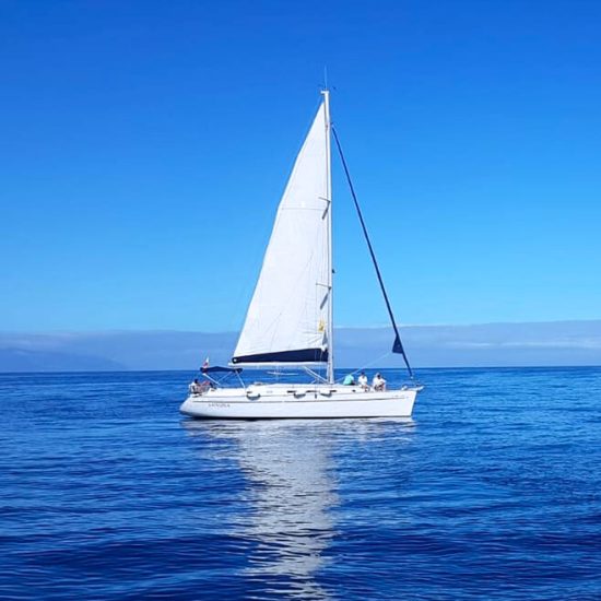 cfa0744c-6de6-4733-b999-dd3b277f544e