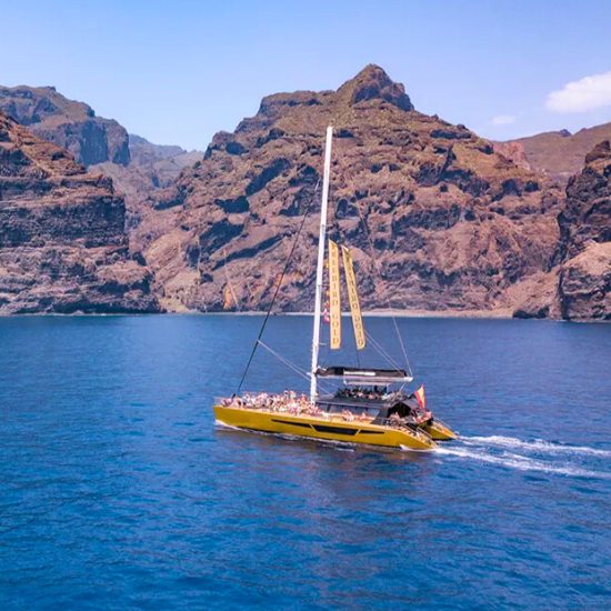 d7a78f6e-9206-4ebf-8476-c3d1d987617e