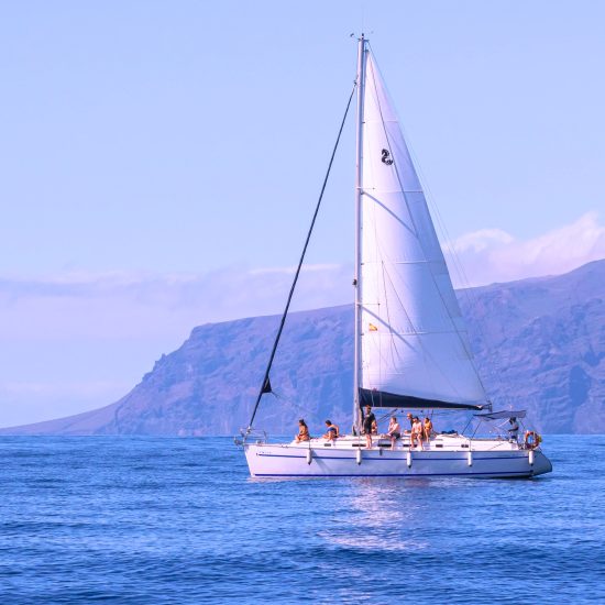 dd3d566f-b62a-470a-92fb-c64ea7786192