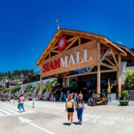 entrada-principal-1-300x268